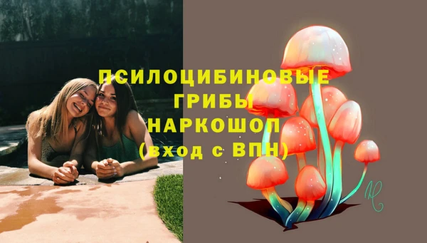 не бодяженный Белокуриха