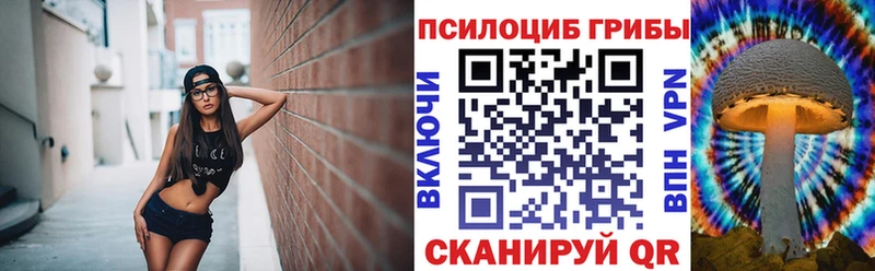Купить где  Микунь  Псилоцибиновые грибы ЛСД 